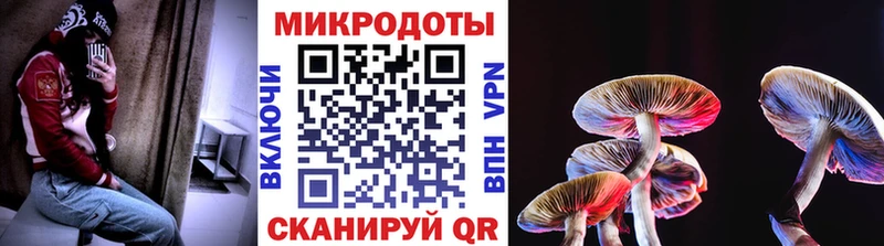 хочу наркоту Асино мега ССЫЛКА Псилоцибиновые грибы прущие грибы