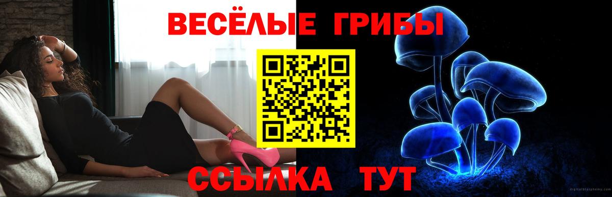 Галлюциногенные грибы мухоморы Асино